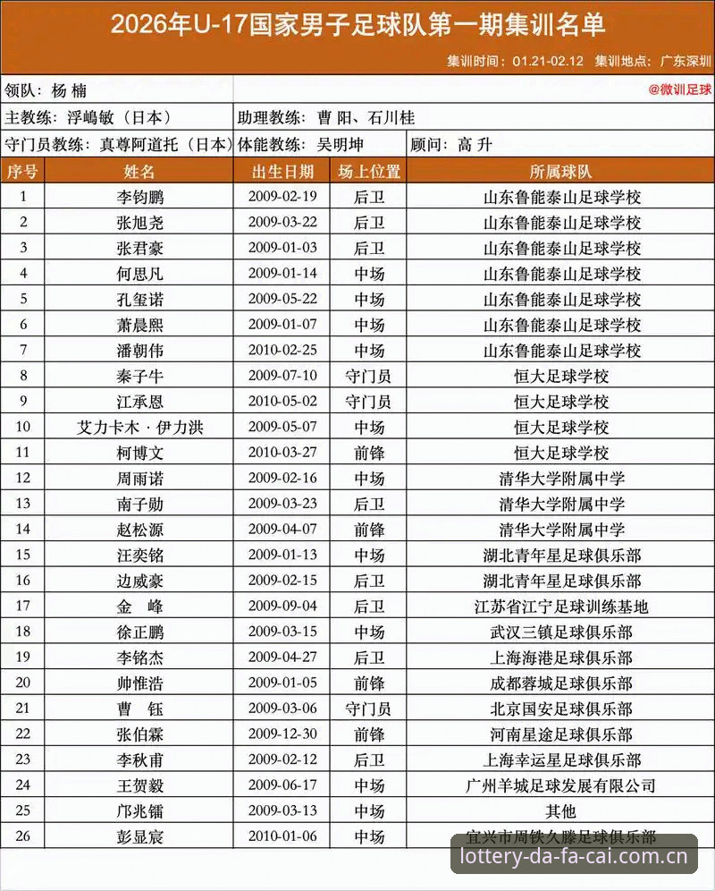 中国U17国家队分组揭晓，大发彩票官网观赛攻略与使用教程