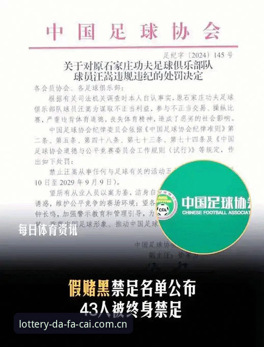 中国足协第三批禁足名单深度评测：行业震荡下的足球生态重构